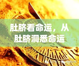 肚脐洞悉命运密码，揭示未来走向的奥秘