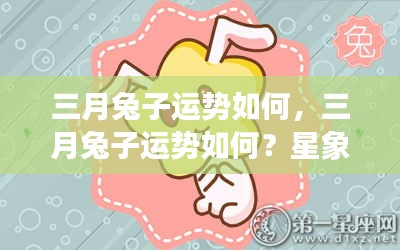 三月兔子运势展望，星象指引，好运连连