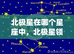 北极星领航，揭秘星座运势中的独特指引与北极星所在星座的奥秘