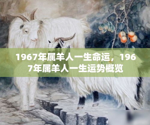 1967年属羊人的命运与运势概览