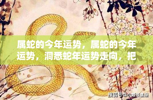 属蛇今年运势揭秘，洞悉蛇年走向，把握未来机遇