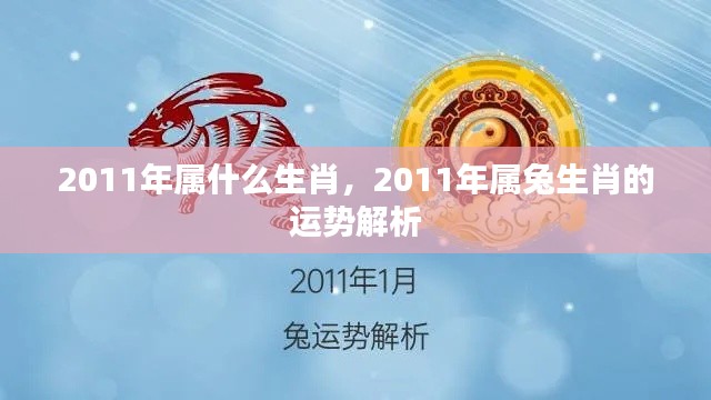 2011年属兔生肖运势解析