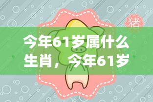 今年61岁属相运势展望与个性解析