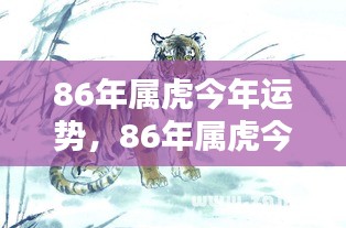 86年属虎人今年运势大揭秘及运势分析