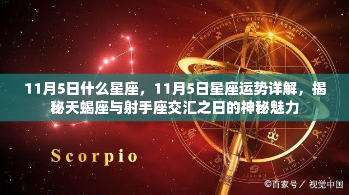 揭秘神秘交汇日，11月5日天蝎座与射手座的星座运势详解与神秘魅力探寻