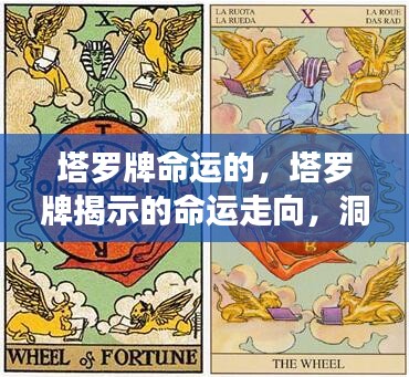 塔罗牌揭示命运走向，探索未来秘密之门