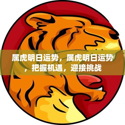 属虎明日运势展望，把握机遇，迎接挑战