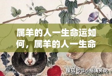 属羊人的命运解析，温文尔雅中的坚韧与机遇挑战