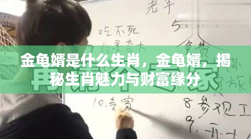 揭秘金龟婿生肖魅力与财富缘分，揭秘生肖与财富的秘密关联