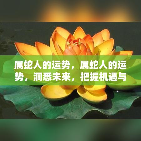 属蛇人的未来运势，洞悉机遇与挑战，把握命运舵手