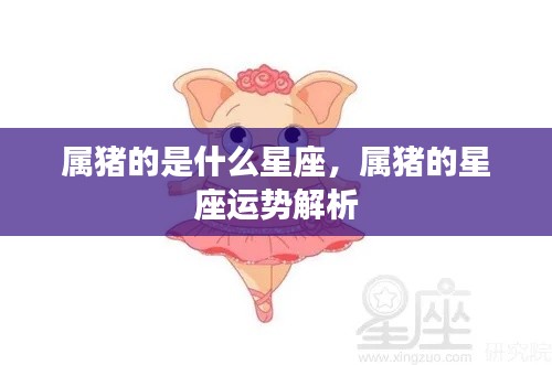 属猪的星座运势解析与星座特点探索