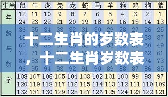 揭秘十二生肖岁数表，洞悉年龄与属相背后的奥秘关系解析