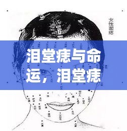 泪堂痣与命运，神秘面相解读命运密码的奥秘