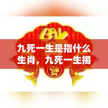 揭秘生肖传奇，九死一生背后的生肖秘密