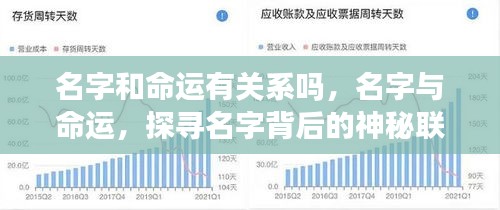 名字与命运，神秘联系的探寻之旅