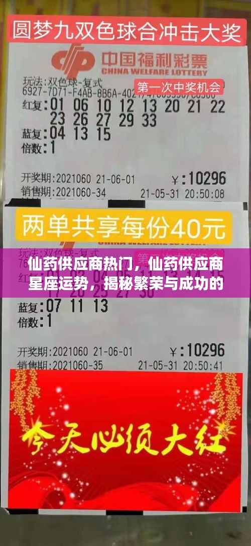 揭秘星座运势背后的神秘力量，仙药供应商繁荣与成功的奥秘探索