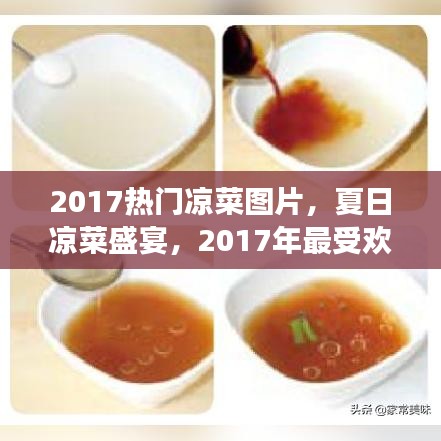 『夏日清凉盛宴，2017热门凉菜精选与美食图片』