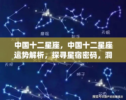 中国十二星座运势深度解析，探寻星宿奥秘，洞悉未来走向