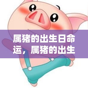 属猪的出生日命运探究，生命之轮中的独特轨迹