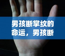 男孩断掌纹的命运，掌纹奥秘揭示人生轨迹微妙联系