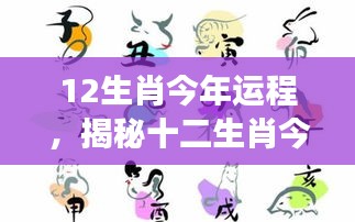 揭秘十二生肖今年运势走向，全方位解读生肖运程展望