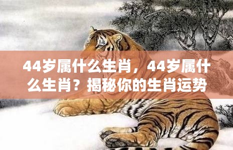 揭秘生肖运势，探寻44岁属相与人生轨迹的奥秘