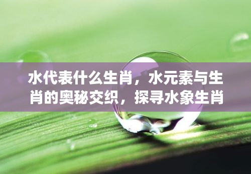 水元素与生肖的奥秘交织，探寻水象生肖的独特魅力与象征意义