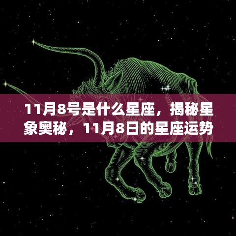 揭秘星象奥秘，11月8日的星座运势解析及星座特征探索