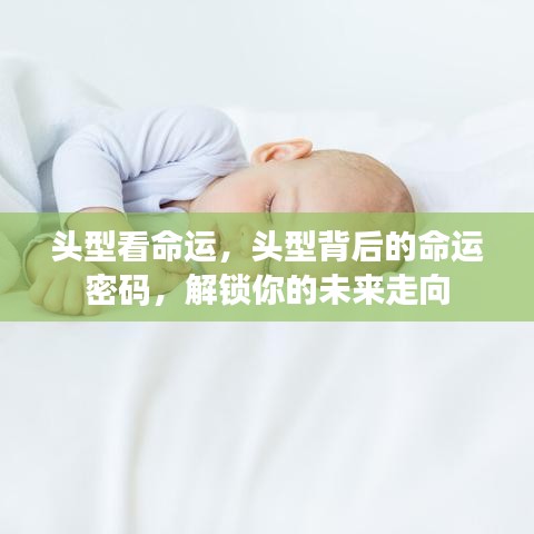 头型背后的命运密码，揭示未来走向的密码