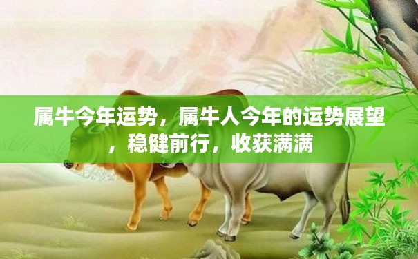 属牛人今年运势展望，稳健前行，收获颇丰