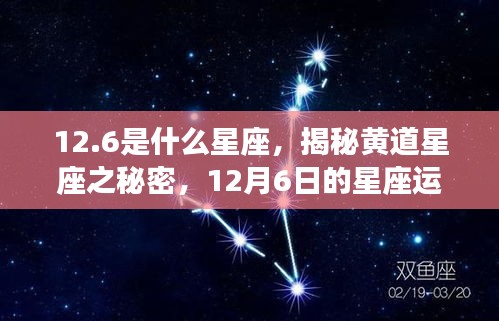 揭秘黄道星座之谜，12月6日的星座运势解析及星座属性解析（射手座）