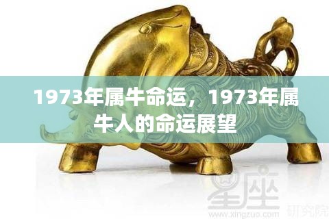 1973年属牛人的命运展望与解析