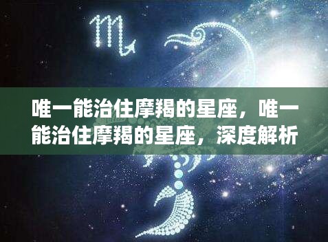 唯一能够驾驭摩羯的星座，深度解析与案例分析