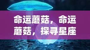 命运蘑菇，探寻星座运势中的神秘力量之源