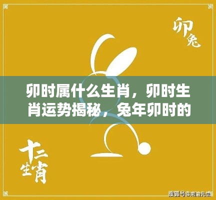 卯时生肖揭秘与运势展望，兔年卯时的独特魅力与运势走向解析