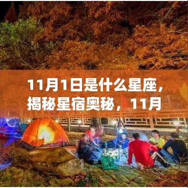 揭秘星宿奥秘，11月1日出生者的星座运势解析及星座特点探索