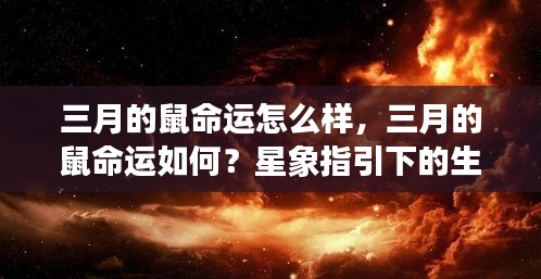 三月生肖鼠命运解析，星象指引下的运势展望