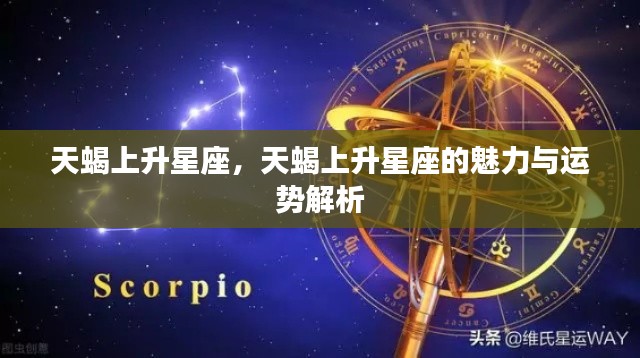 天蝎上升星座的魅力与运势深度解析