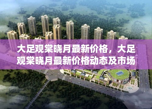 大足观棠晓月最新价格与市场走势深度解析