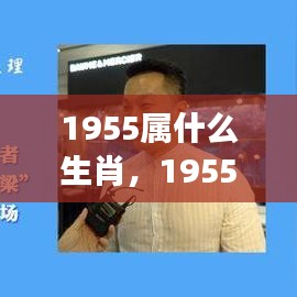 1955年属生肖运势解析，把握机遇的关键！