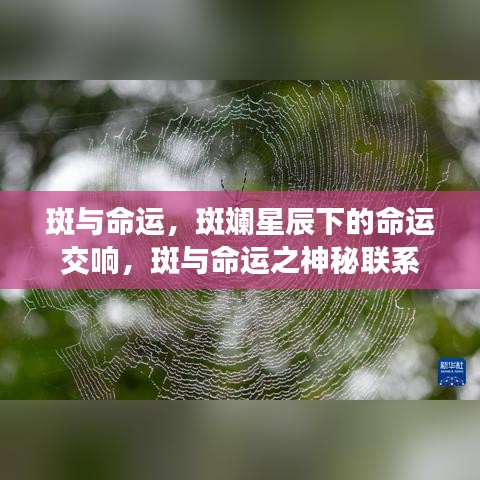 斑与命运，星辰下的神秘交响与命运联系探寻