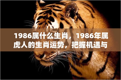 1986年属虎人的运势分析及挑战把握