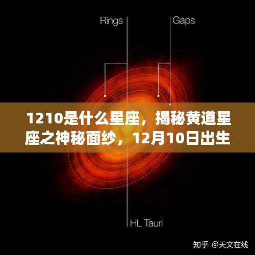 揭秘黄道星座之神秘面纱，揭秘12月10日出生者的星座运势解析及星座属性解读。