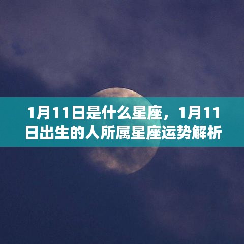 目不转睛