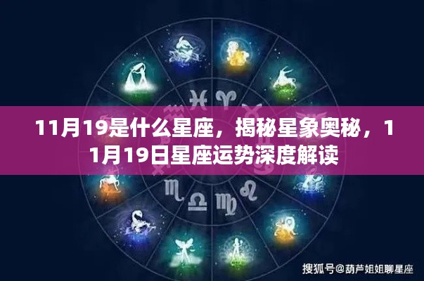 揭秘星象奥秘，11月19日星座运势深度解读与星座揭秘