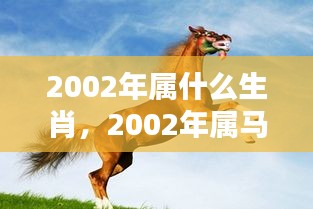 2002年属马人的生肖运势与命运驾驭指南