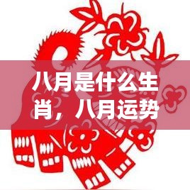 八月生肖运势揭秘，展望生肖运势展望与运势展望