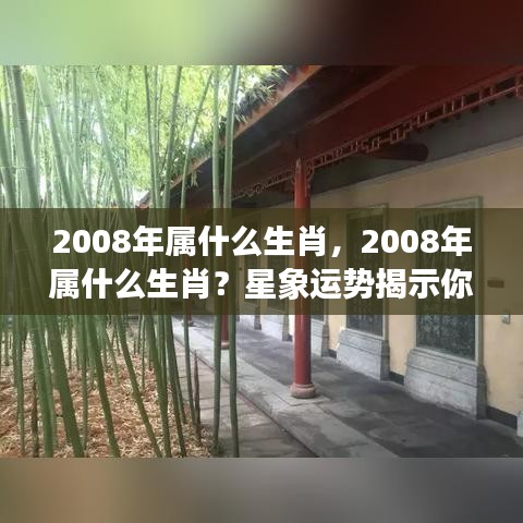 揭秘2008年属相运势，星象运势揭示未来走向