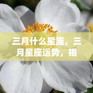 揭秘三月星座运势走向，春天的星座运势概览