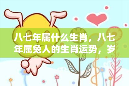 八七年属兔生肖运势揭秘，岁月变迁中的机遇与挑战